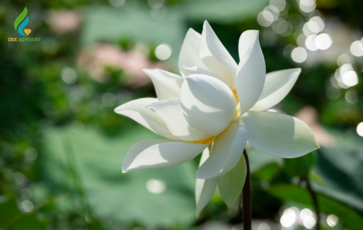 默認(rèn)文件1743571891406
